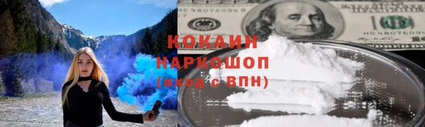 спиды Богданович