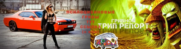 mix Богородицк
