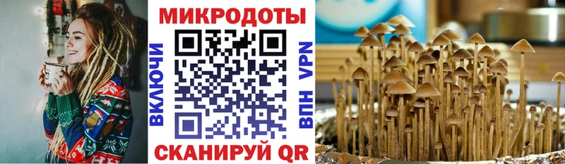 где купить наркоту  Верещагино  Галлюциногенные грибы GOLDEN TEACHER 